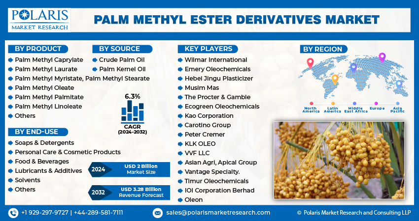 Palm Methyl Ester Derivatives Market Share